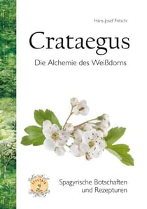 Crataegus - Die Alchemie des Weißdorns