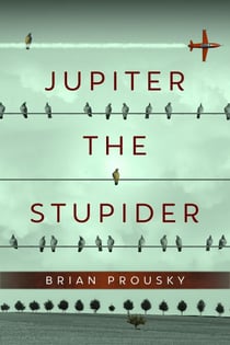 Jupiter the Stupider