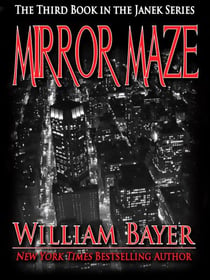 Mirror Maze - Book III in the Janek Detective Series - Janek Mysteries, #3