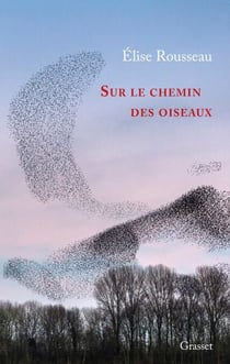 Sur le chemin des oiseaux - Récit