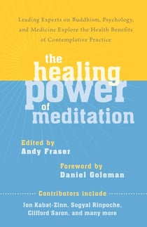 The Healing Power of Meditation - Leading Experts on Buddhism, Psychology, and Medicine Explore the Health Benefits of Contemplative Practice