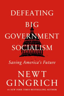 Defeating Big Government Socialism - Saving America's Future