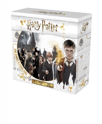 Harry Potter une année à Poudlard - Topi Games
