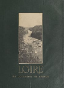 La Loire - Aspect géographique, historique, touristique, économique et administratif du département