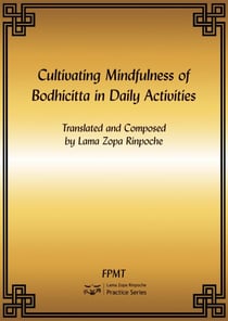 Cultivating Mindfulness of Bodhicitta in Daily Activities eBook