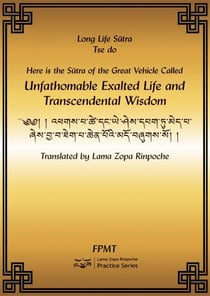 Amitayus Long Life Sutra eBook