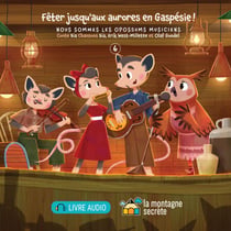 Fêter jusqu'aux aurores en Gaspésie ! - Nous sommes les opossums musiciens - 6
