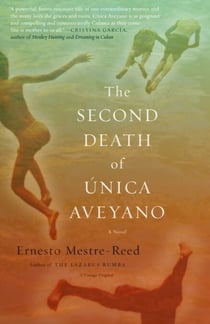 The Second Death of Unica Aveyano - A Novel