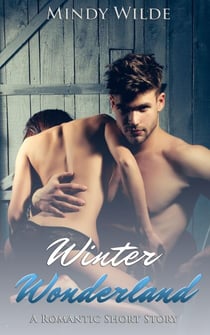 Winter Wonderland (A Romantic Short Story)