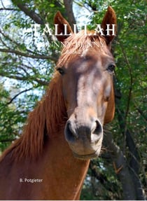 Tallulah - Bunny Bunny