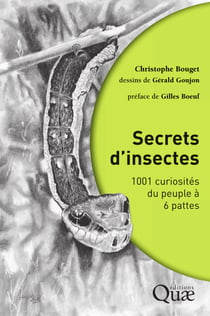 Secrets d'insectes - 1001 curiosités du peuple à 6 pattes