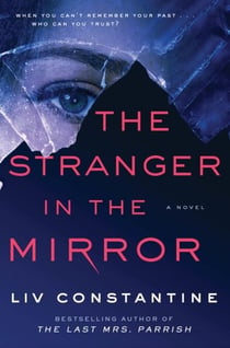 The Stranger in the Mirror - A Novel