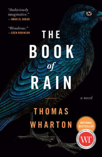 The Book of Rain - A Novel