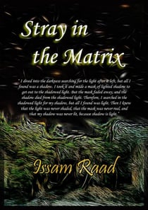 Stray in the Matrix