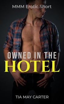Owned in the Hotel - Claiming the Twink, #3