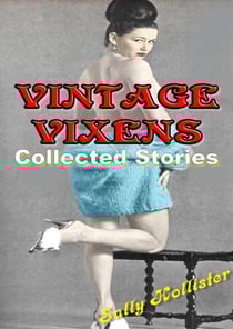 Vintage Vixens (Collected Stories)
