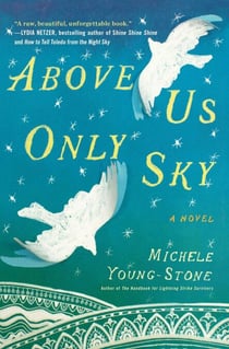 Above Us Only Sky - A Novel