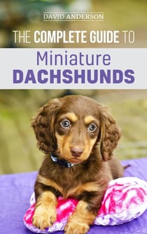 The Complete Guide to Miniature Dachshunds: A Step-by-Step Guide to Successfully Raising Your New Miniature Dachshund
