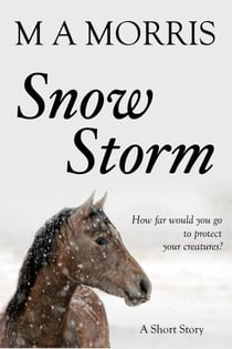 Snow Storm