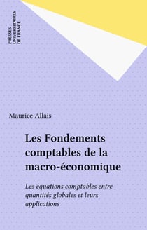Les Fondements comptables de la macro-économique - Les équations comptables entre quantités globales et leurs applications