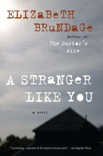 A Stranger Like You - A Novel