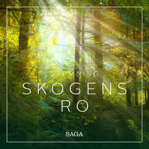 Stemning - Skogens ro