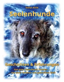 Seelenhunde - Geschichten & Erfahrungen