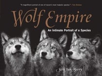 Wolf Empire - An Intimate Portrait of a Species
