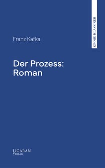 Der Prozess: Roman