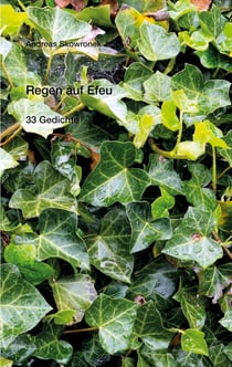 Regen auf Efeu - 33 Gedichte
