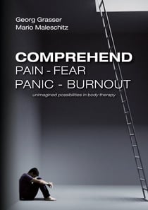 Comprehend Pain-Fear-Panic-Burnout - Unimagined Possibilities in Body Therapy