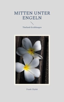 Mitten unter Engeln - Thailand-Erzählungen