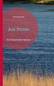 Am Strom - Ein historischer Roman