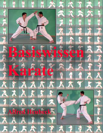 Basiswissen Karate - Erste Schritte und Informationen