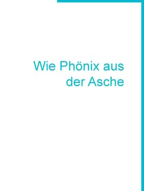 Wie Phönix aus der Asche - Ein Gedichtbuch