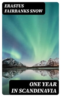 One Year in Scandinavia