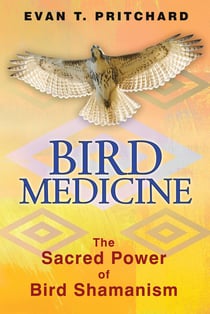 Bird Medicine - The Sacred Power of Bird Shamanism
