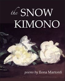 The Snow Kimono - Poems and Art
