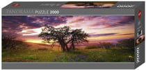 Puzzle 2000 pièces - Panorama Oak tree