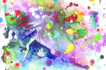 Puzzle 1000 pièces - Meow