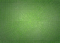 Puzzle 736 pièces - Kryptonic neon green