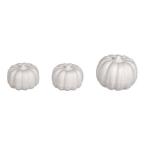 Lot de 3 courges en polystyrène assorties Rayher - Blanc