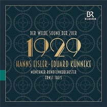 1929 - The Wild Sound Of The Twenties