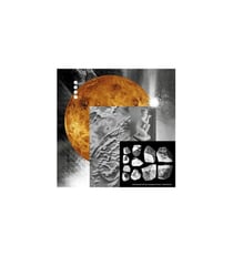 Counting stars with you/musiques femmes