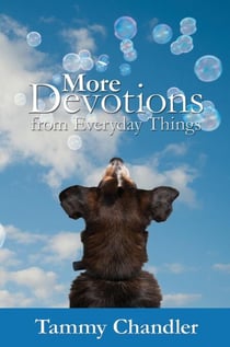 More Devotions from Everyday Things - Devotions from Everyday Things, #3