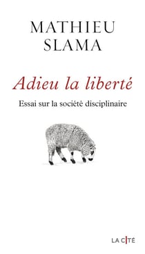 Adieu la liberté - Essai sur la société disciplinaire - Essai sur la société disciplinaire