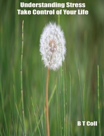 Understanding Stress:   Take Control of Your Life