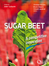 Sugar beet - A competitive innovation