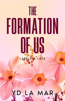 The Formation of Us - Labels & Lace, #1