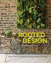 Rooted in Design - Sprout Home's Guide to Creative Indoor Planting